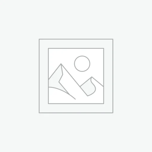 woocommerce-placeholder NexGo (Exadigm) N5 NexGo